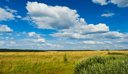 Similar image 761756