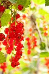 Similar image 761763