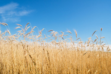 Similar image 761764