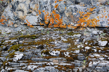 Similar image 761767