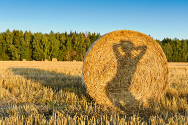 Similar image 761768