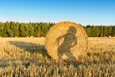 Similar image 761770