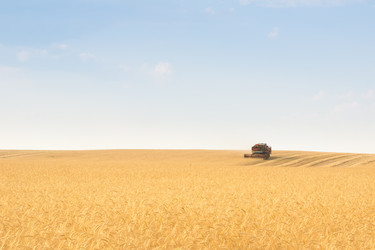 Similar image 761776