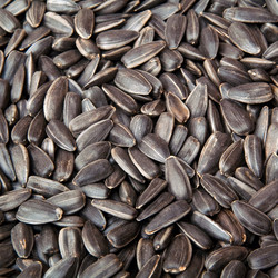 Similar image 761777