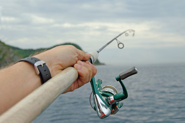 Similar image 761787