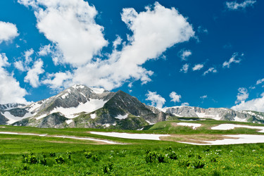 Similar image 761818