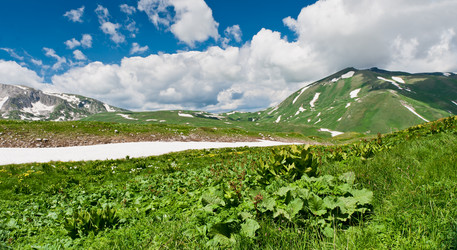 Similar image 761830