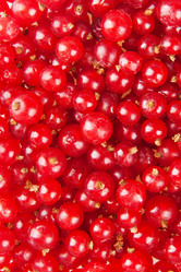 Similar image 761837