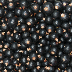 Similar image 761839