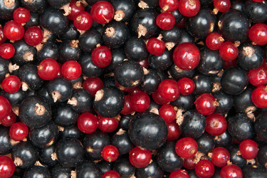 Similar image 761854