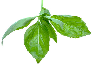 Similar image 761911