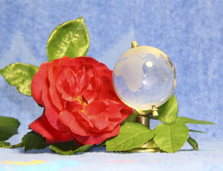 Similar image 761930