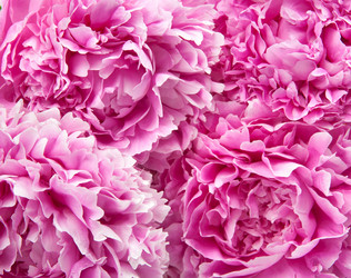 Similar image 761931