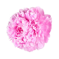 Similar image 761932