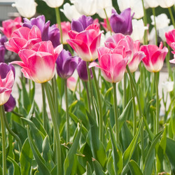 Similar image 761945