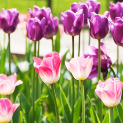 Similar image 761946