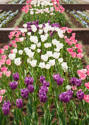 Similar image 761948