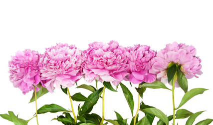 Similar image 761950