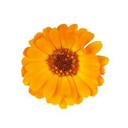 Similar image 761952