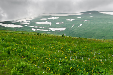 Similar image 761984