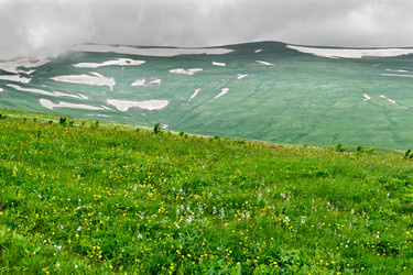 Similar image 761988