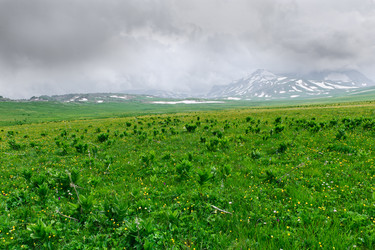 Similar image 761990