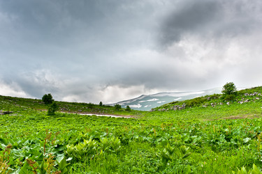 Similar image 761991