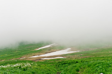 Similar image 761992