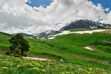 Similar image 762002