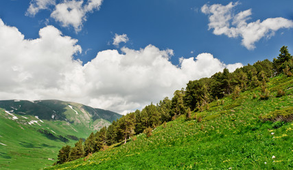 Similar image 762009