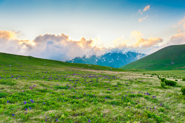 Similar image 762015