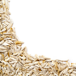 Similar image 762019