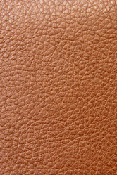 Similar image 762032