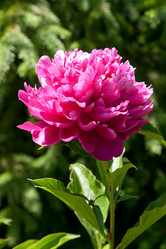 Similar image 762051