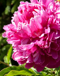 Similar image 762053