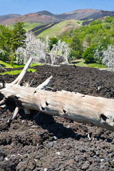 Similar image 762058