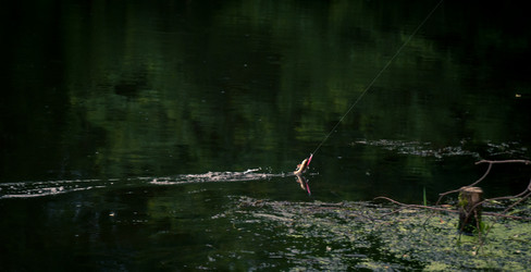 Similar image 762100