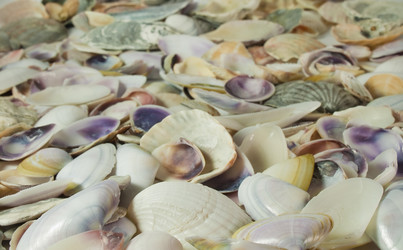 Similar image 762117