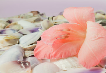 Similar image 762118