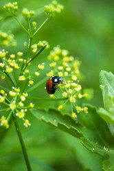 Similar image 762133