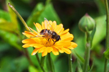 Similar image 762134