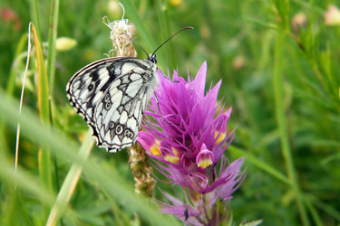 Similar image 762146