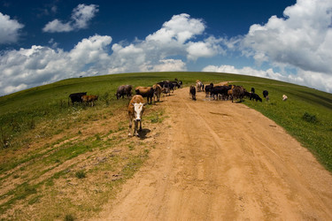 Similar image 762203