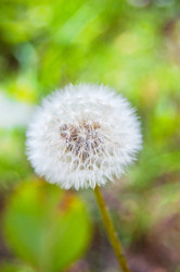 Similar image 762230