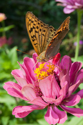 Similar image 762244