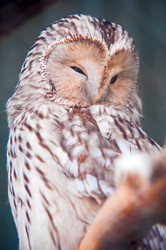 Similar image 762269