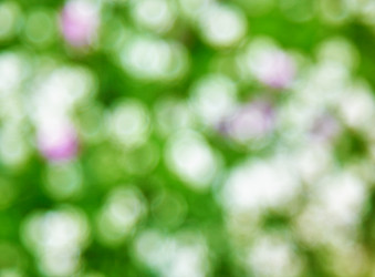 Similar image 762277