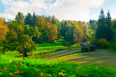 Similar image 762281