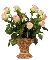 Similar image 762303