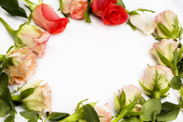 Similar image 762306